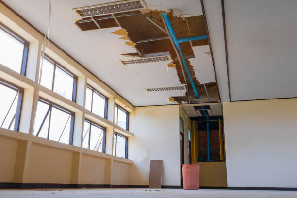 Best Water damage restoration near me  in Pagosa Springs, CO