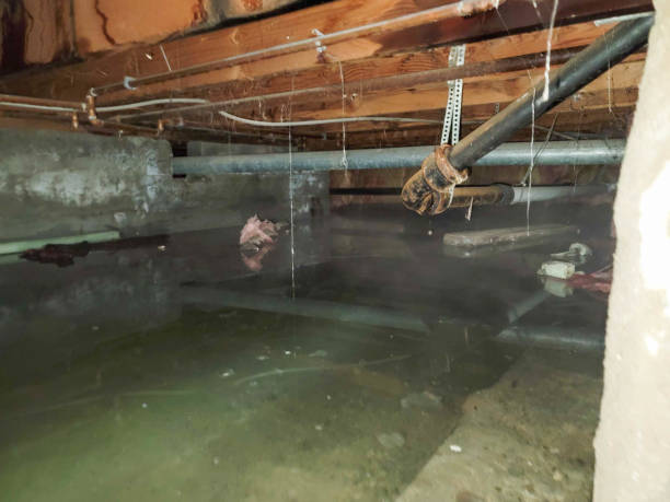  Pagosa Springs, CO Water damage restoration Pros