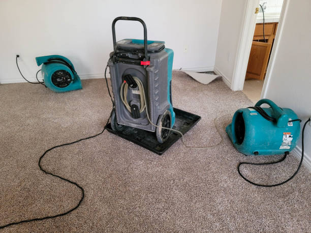 Best Water damage restoration insurance claims  in Pagosa Springs, CO