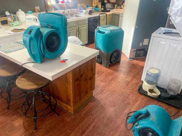 Best Professional water damage repair  in Pagosa Springs, CO