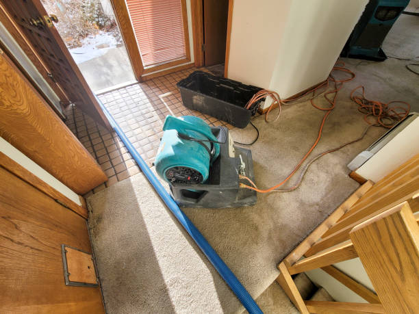 Best Local water damage restoration  in Pagosa Springs, CO