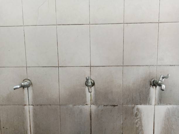 Best Residential water damage restoration  in Pagosa Springs, CO